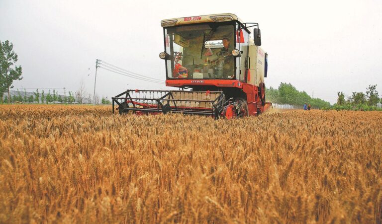 From war zones to wheat fields: quiet revolution in Azerbaijan