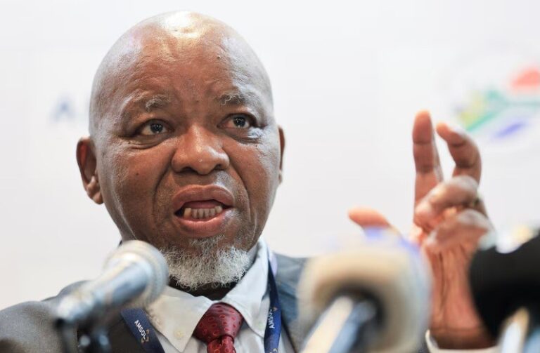 South Africa calls for affordable, balanced energy transition