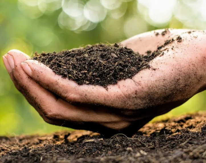 Global warming may trigger rapid release of soil carbon