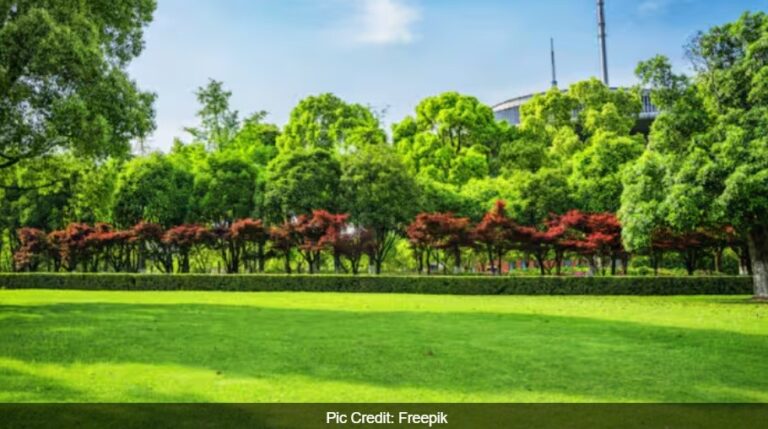 Urban Air Pollution And Lack Of Green Spaces Linked To One In Ten Asthma Cases, Study Finds