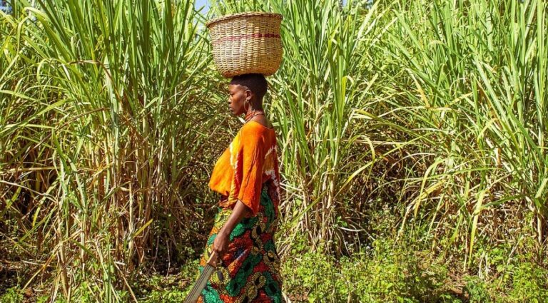 Kenyan tycoons slow down on luxury, pivot toward agriculture and environmental conservation: Report