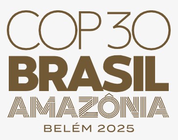 COP 30