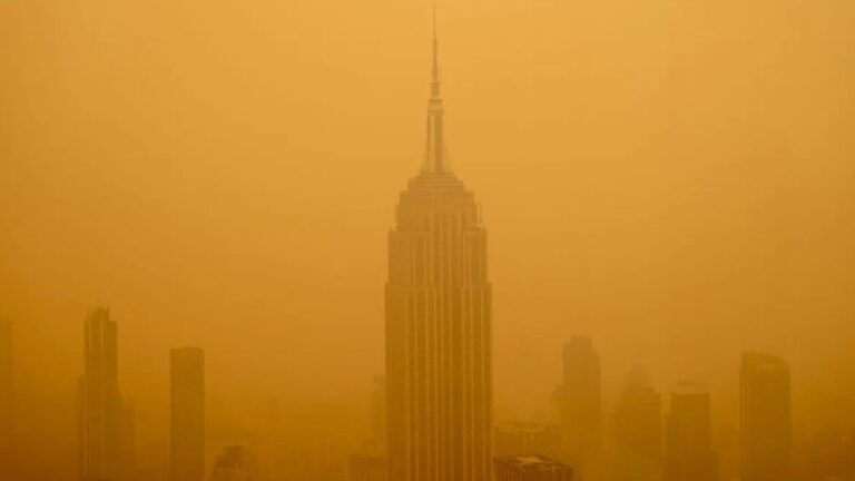 Central bank climate coalition releases near-term scenario planning tool