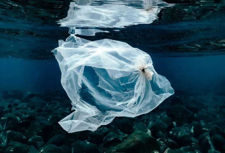 The Health Crisis That Could Make or Break the UN Plastics Treaty