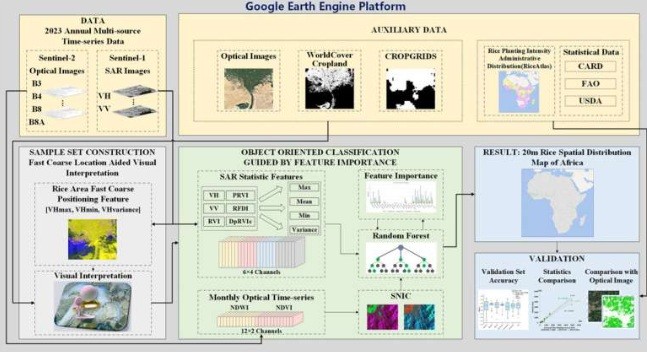 Scientists release high-resolution rice map of Africa to support global food security