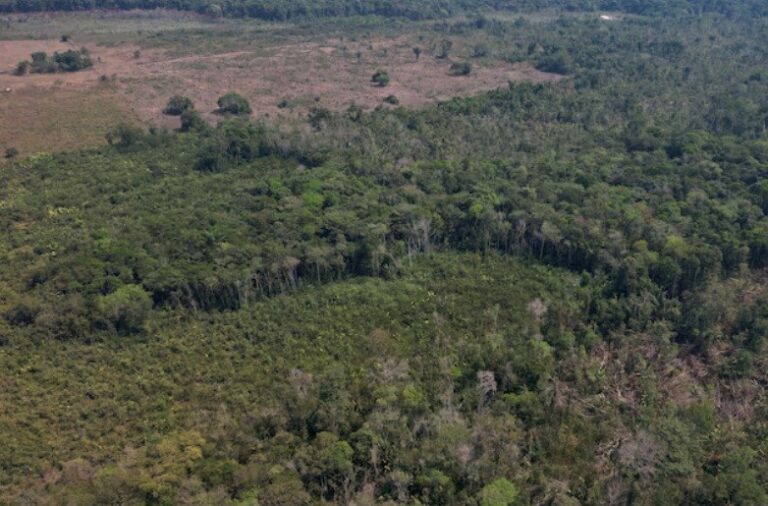 Brazilian prosecutors seek to block $180 million carbon credit deal