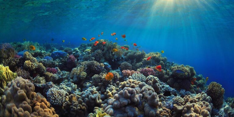 Clean Oceans Initiative 2.0 Targets €3B to Combat Plastic Pollution and Boost Circular Economy