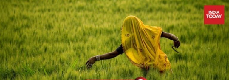 Climate change hits home: One-third of Indians worry about food shortage