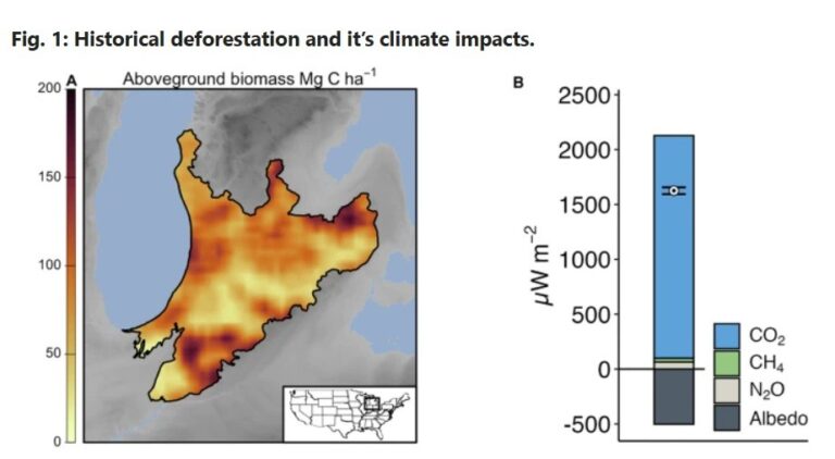 Nature-based climate solutions can help mitigate the radiative forcing that follows deforestation
