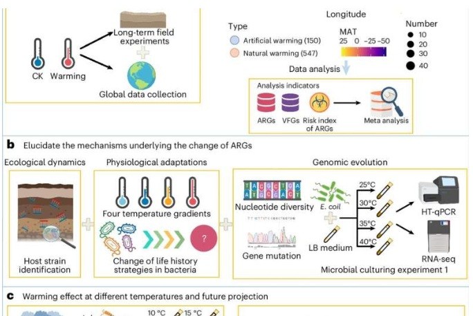 Climate change linked to rising antibiotic resistance in soil bacteria