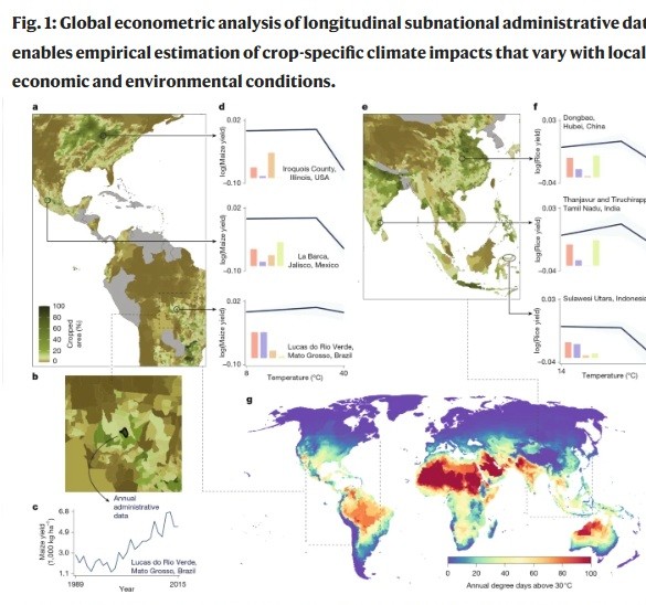 Impacts of climate change on global agriculture accounting for adaptation