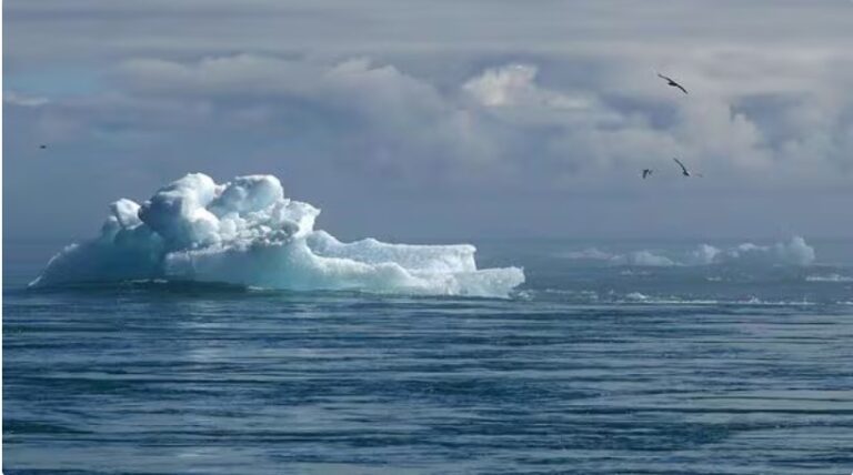 India needs $1.5 trillion to meet 2030 climate and energy goals: Deloitte