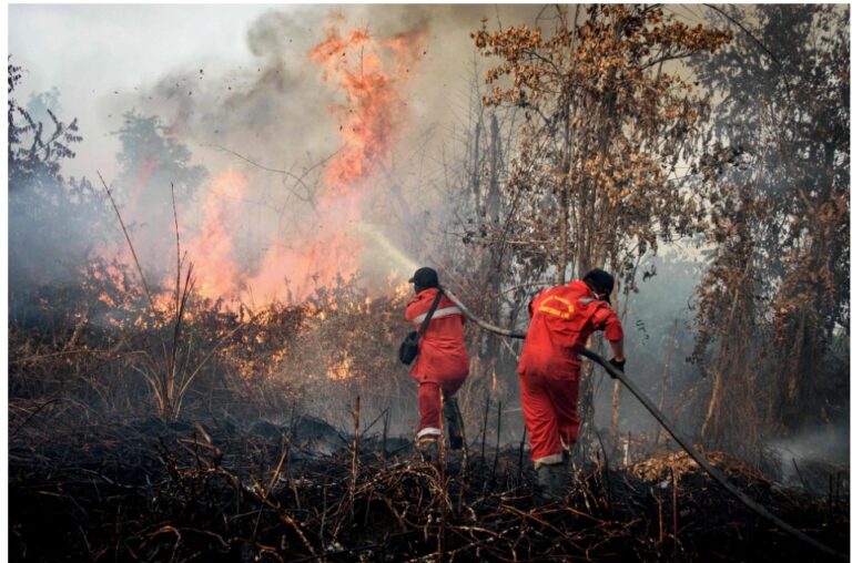 International Court of Justice to deliver landmark climate ruling on Jul 23