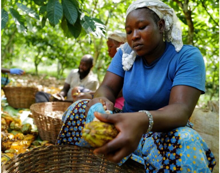 Rising food prices driven by climate crisis threaten world’s poorest, report finds