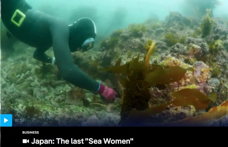 Japan: The last “Sea Women”