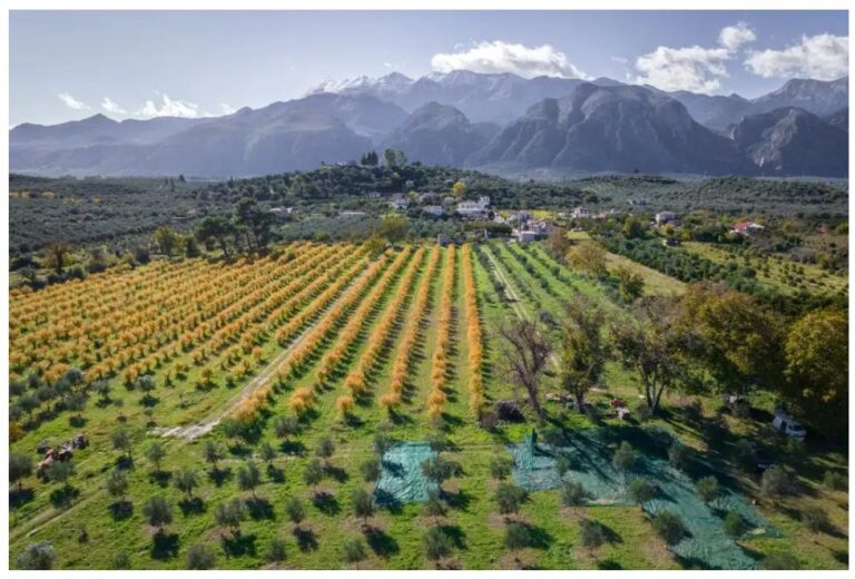 Regenerative Agriculture Goes Mainstream