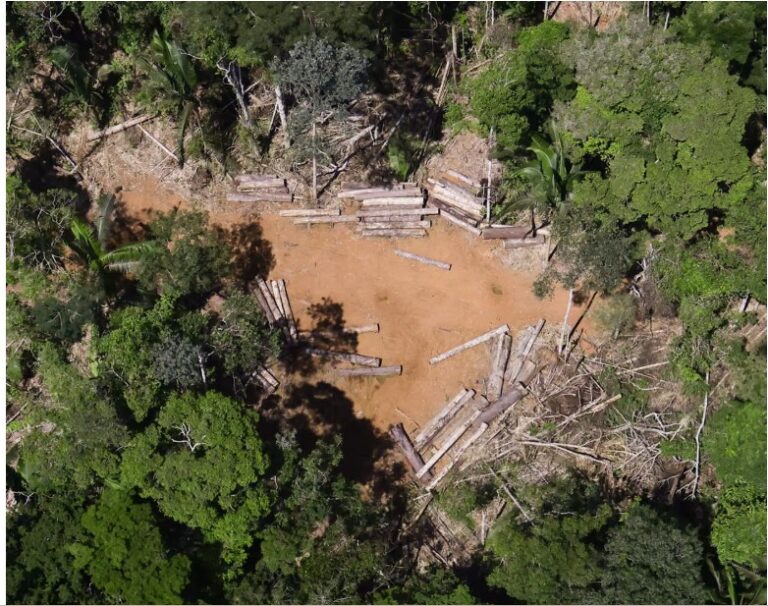 Brazil passes ‘devastation bill’ that drastically weakens environmental law