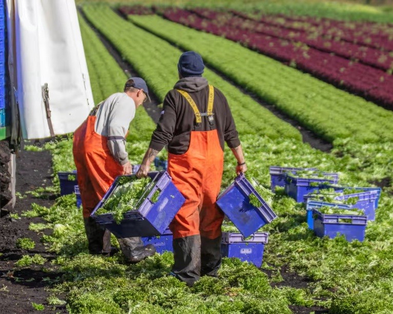 More than 80% of UK farmers worried about climate crisis harming livelihood, study finds