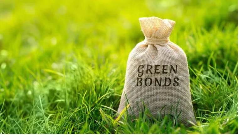 Green bonds key to climate finance, but challenges remain: IEEFA report