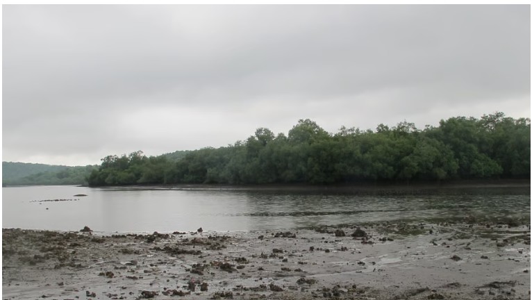 India’s resolution on wetland conservation adopted at Ramsar CoP15 in Zimbabwe