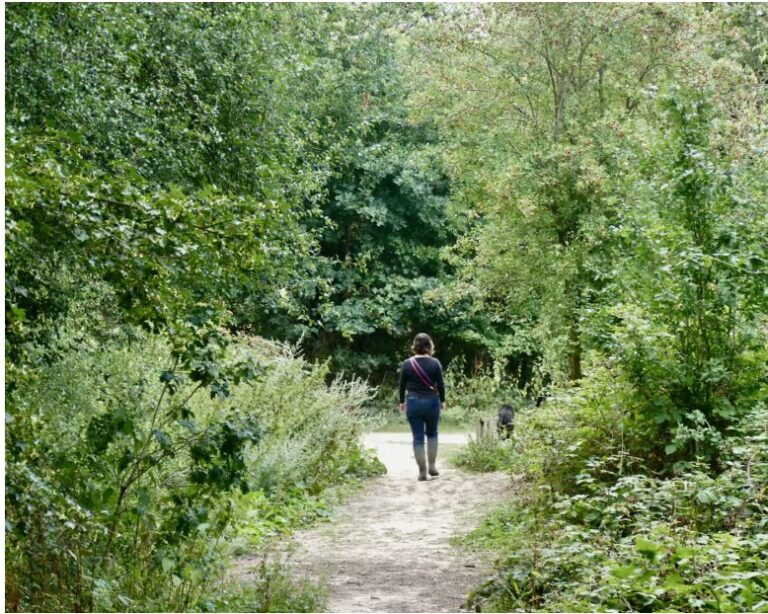 Human connection to nature has declined 60% in 200 years, study finds