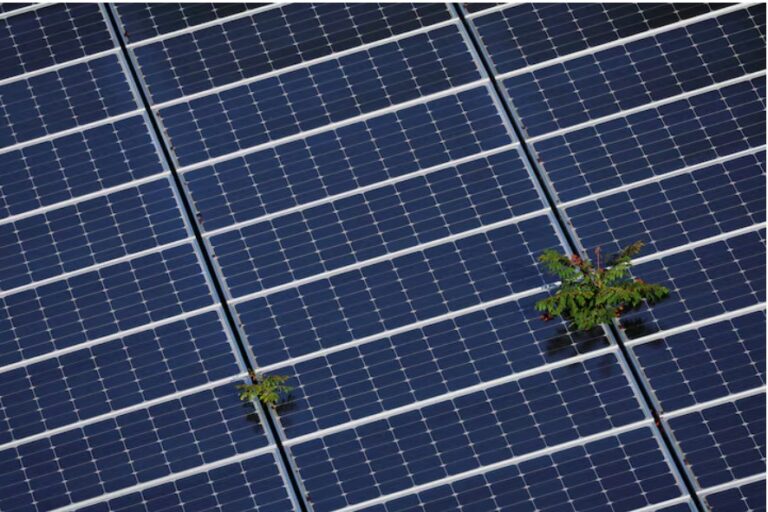 USDA ends programs for solar, wind projects on farms