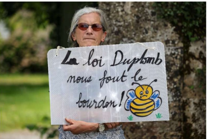 France strikes down return of banned bee-killing pesticide