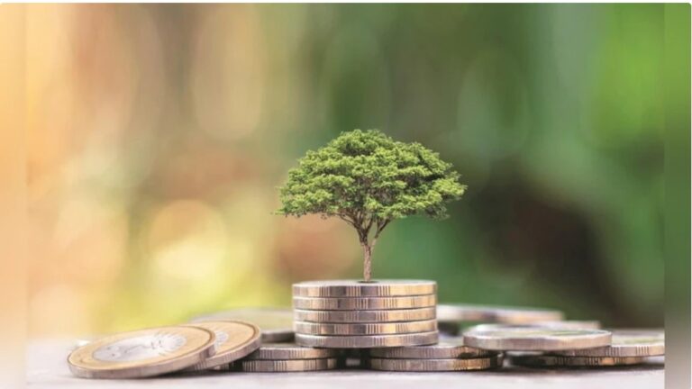 $300 billion climate finance target by 2035 is insufficient: Centre