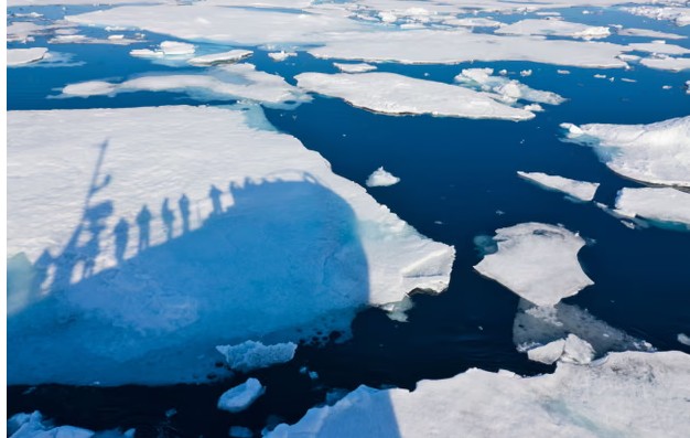 Dramatic slowdown in melting of Arctic sea ice surprises scientists