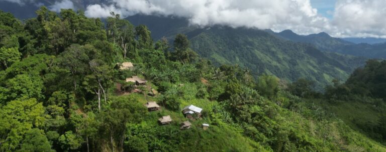 Philippines’ new forest policy wins business backing but alarms green groups