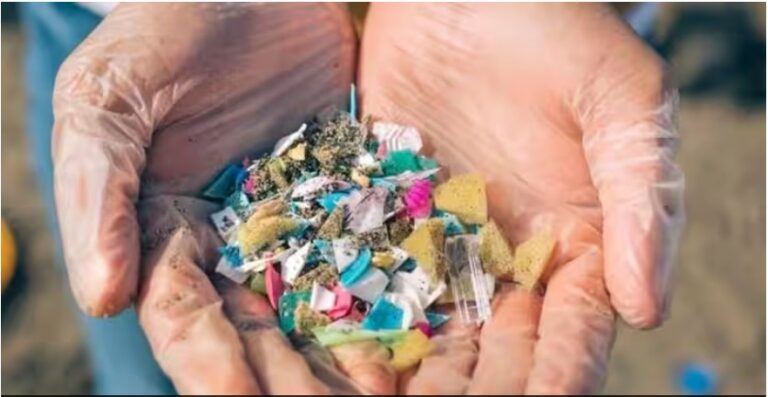 Plastic pollution is costing $1.5T in health expenses: Report