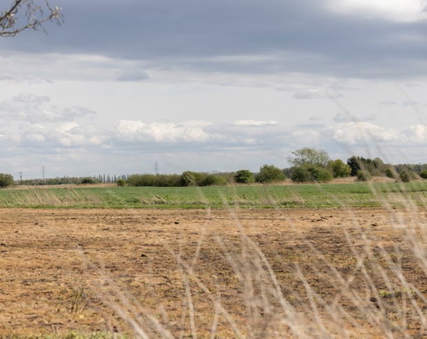 Nature loss will cut UK GDP by 5% without action from private sector, say experts