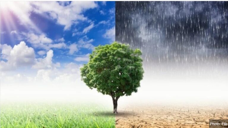 ‘Africa demands fair share of $1.3trn climate finance’