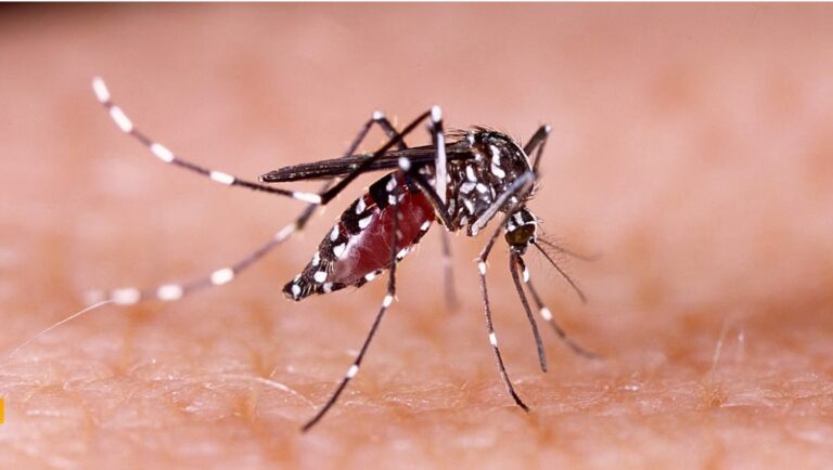 Climate change-induced dengue resulted in 4.6 million additional cases annually