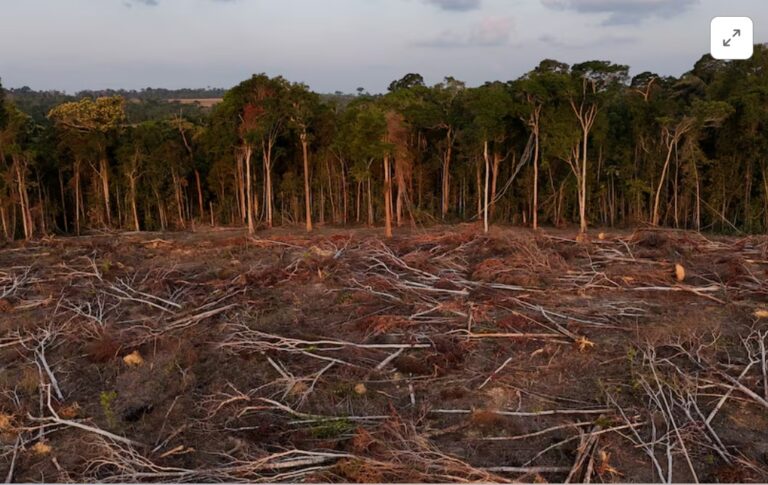 EU to delay anti-deforestation law by another year
