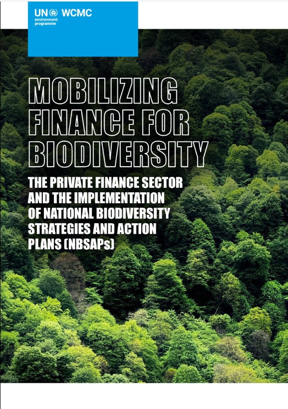 Mobilizing Finance for Biodiversity: The Private Finance Sector and the Implementation of National Biodiversity Strategies and Action Plans (NBSAPs)