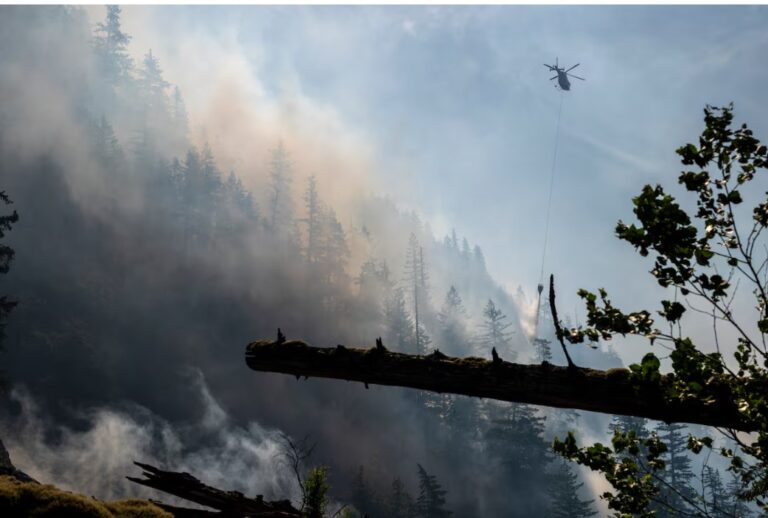 Extreme weather is forcing investors to rethink how to manage physical climate risks