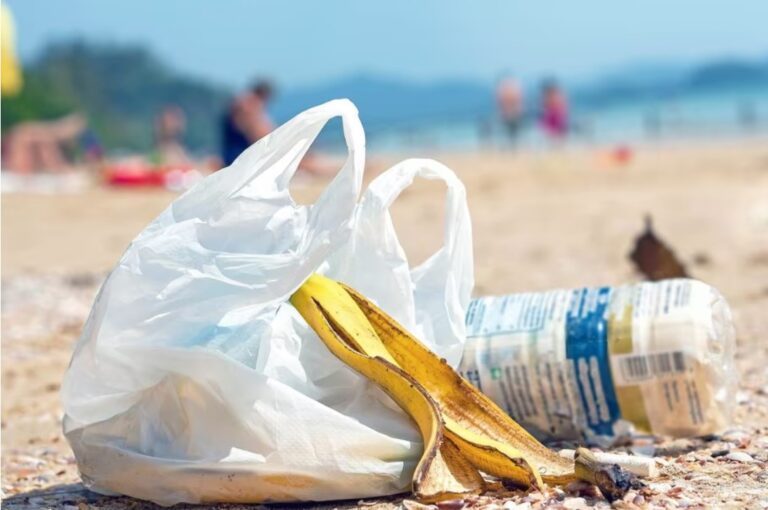 Studies confirm that a small tax definitely helps curb plastic pollution