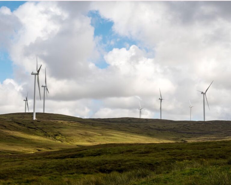 Weakening net zero policy ‘will spook investors’, warns UK’s climate adviser