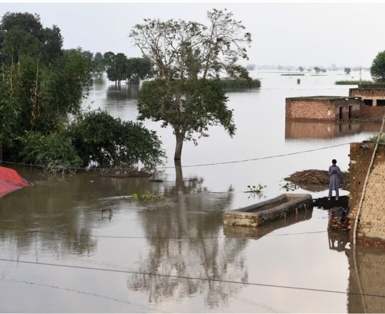 Only a third of world’s river basins experienced normal conditions in 2024