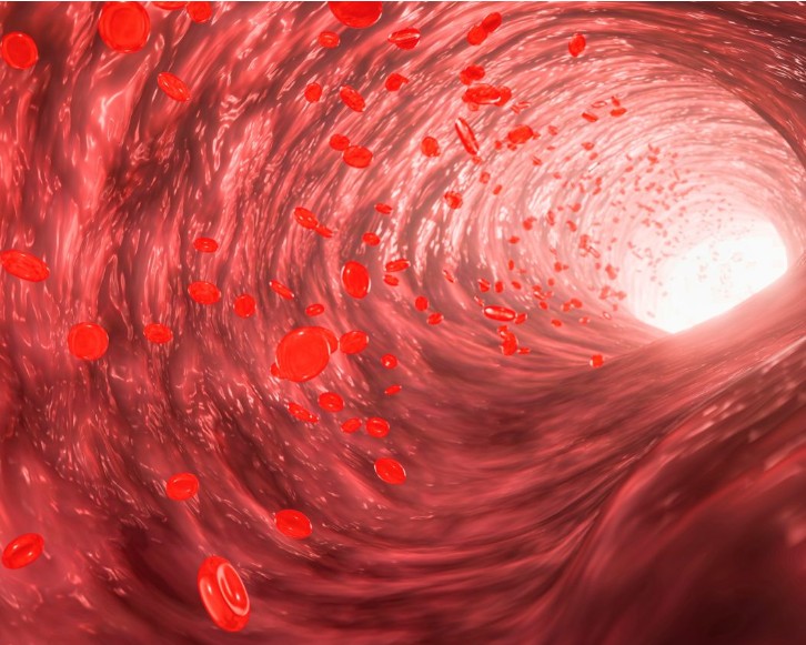 How do pollution particles travel through the body? Scientists finally have the answer