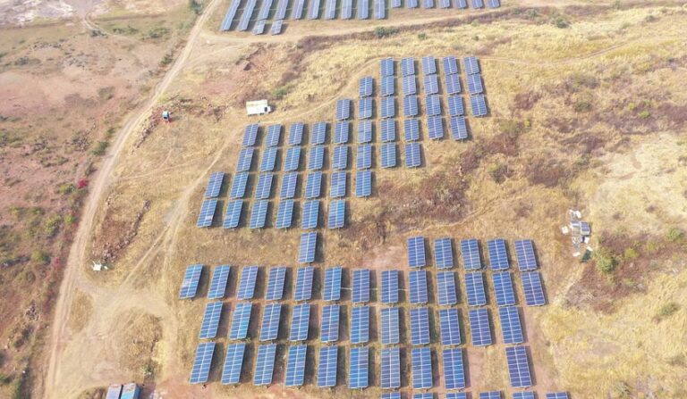 India to become second-largest renewable market as global growth doubles: IEA