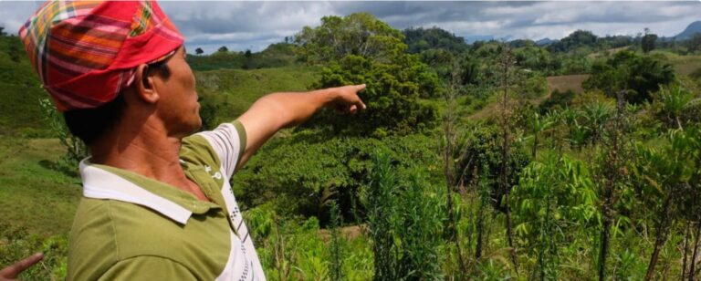 Philippine tribes revive reforestation to defy coal mining expansion