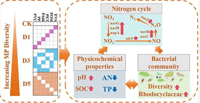 Microplastics reduce soil fertility and boost production of a potent greenhouse gas, study shows