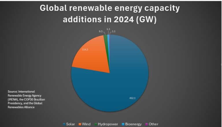 Record global renewable energy growth remains short of climate target, report says