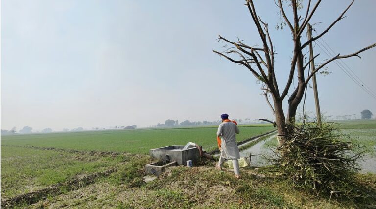 Heat stress puts India’s agriculture among high-risk in Asia-Pacific, warns UN ESCAP report