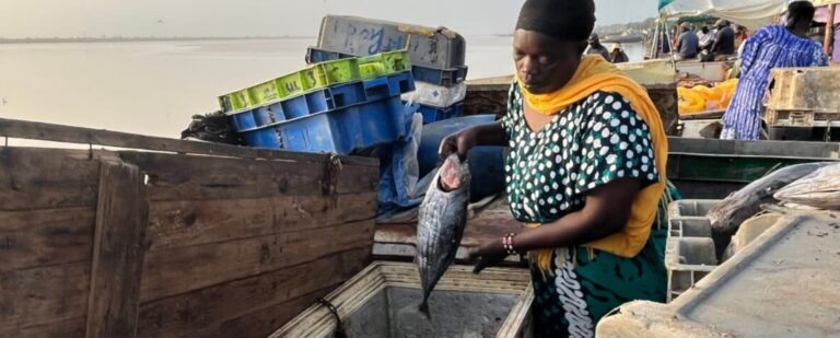 West Africa’s oceans get $68 million lifeline amid fisheries decline