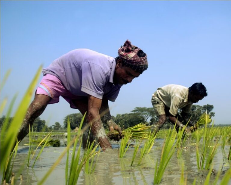 Only 3% of international climate aid going to transitioning communities: ‘This is absurd’