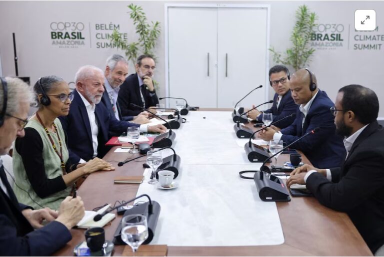 Germany to contribute 1 billion euros to Brazil’s forest fund, Brazil environment minister says