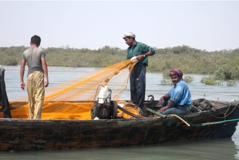 Pakistan declares its third marine protected area, but has a long way to go